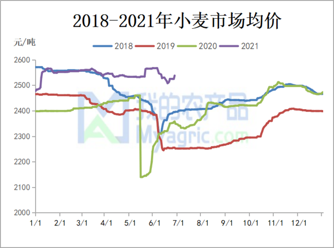 小麦今日价格速递及市场波动与趋势深度分析