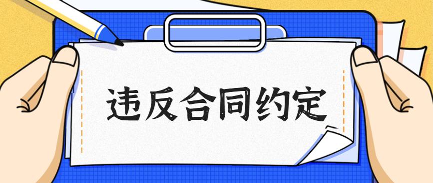 劉老師最新因果視頻，深度探索智慧之光的奧秘與解析