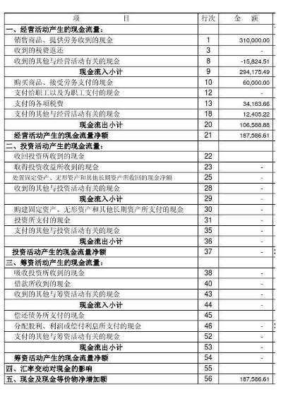 深度剖析，最新企業(yè)財(cái)務(wù)報(bào)表關(guān)鍵指標(biāo)與未來(lái)趨勢(shì)洞察