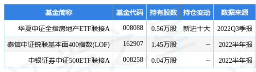 新湖中寶最新公告深度解析，戰(zhàn)略調(diào)整與業(yè)務(wù)進(jìn)展成焦點(diǎn)