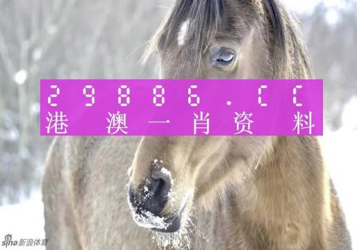 澳門一肖一碼100%精準(zhǔn)一，專家觀點(diǎn)解析_AP67.40.5