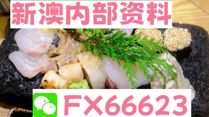 新澳精準(zhǔn)資料免費(fèi)提供網(wǎng)站,動(dòng)態(tài)詞語(yǔ)解釋落實(shí)_Android256.184