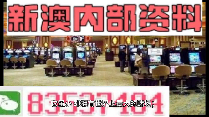 2024新澳精準(zhǔn)資料免費,最佳精選解釋落實_Android256.184