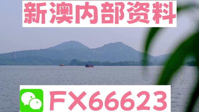 2024新澳免費(fèi)資料內(nèi)部玄機(jī),最新核心解答落實(shí)_Android256.184