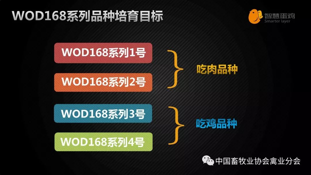 新澳2024年精準(zhǔn)一肖一,正確解答落實_專業(yè)版150.205