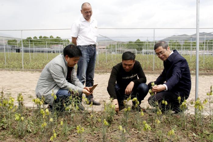 澳門正版資料免費大全新聞,動態(tài)詞語解釋落實_精簡版105.220