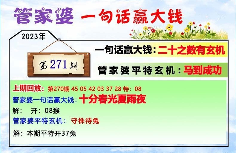 一肖一碼100準管家婆,確保成語解釋落實的問題_游戲版256.184