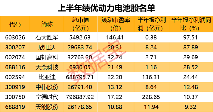 新澳2024年精準(zhǔn)一肖一,機(jī)構(gòu)預(yù)測(cè)解釋落實(shí)方法_豪華版180.300