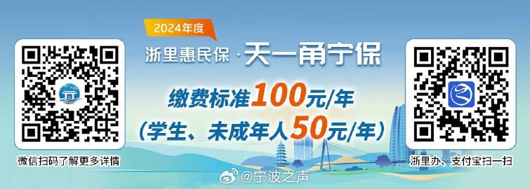 一肖一碼100%,最新答案解釋落實_標準版90.65.32