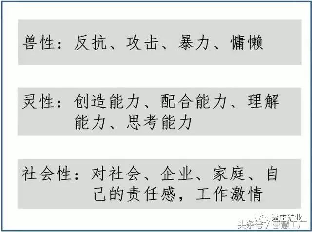 三期必出三期必出特,迅捷解答解釋落實_頂級款38.437