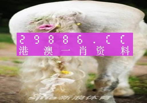 一肖一碼的四不像,即時(shí)解答解釋落實(shí)_基礎(chǔ)版86.696