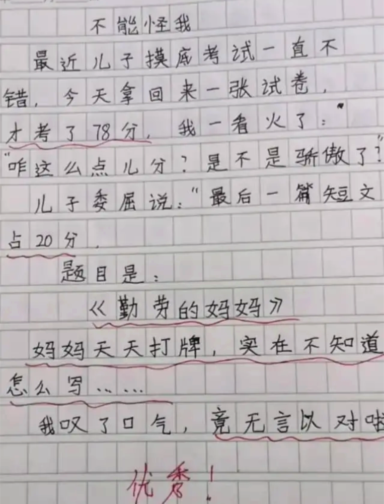 最新小学生满分作文，探索奇妙世界，纯真梦想之旅