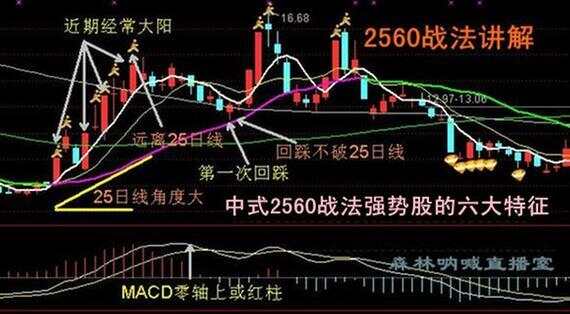 探索與創(chuàng)新，深度解析中國戰(zhàn)法最新一期