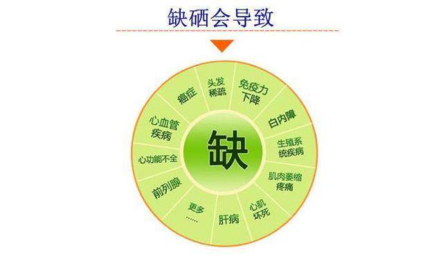 新奧彩資料長期免費公開,高度協(xié)調(diào)策略執(zhí)行_AR版7.672