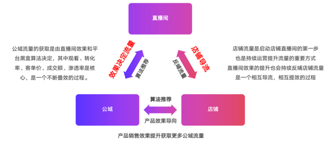 2024新澳門今晚開特馬直播,科學(xué)化方案實(shí)施探討_豪華版4.287