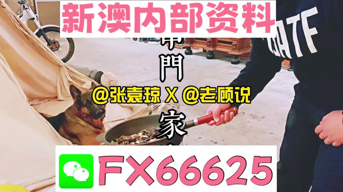 新澳門精準(zhǔn)資料大全管家婆料,數(shù)據(jù)驅(qū)動(dòng)執(zhí)行方案_娛樂版305.210