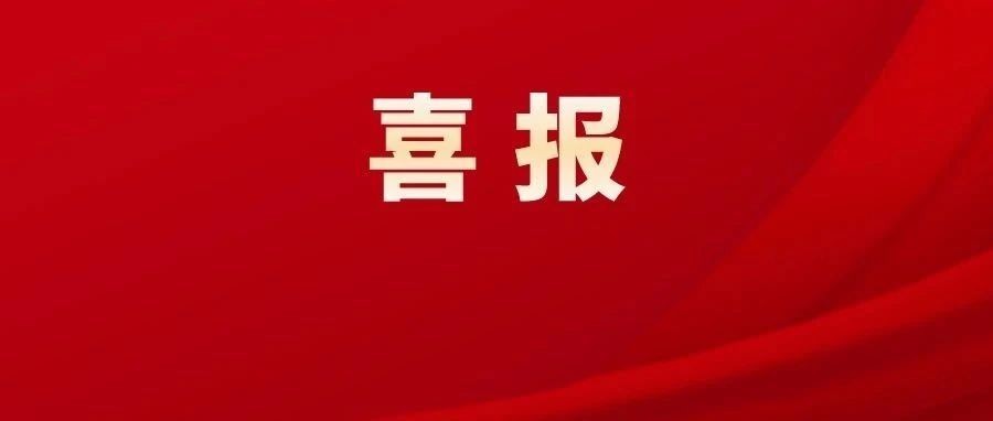 新澳2024正版資料免費(fèi)公開,詮釋解析落實(shí)_娛樂(lè)版305.210