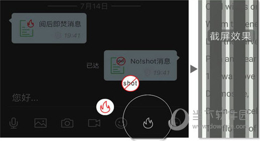 管家婆204年資料一肖配成龍,國產化作答解釋落實_ios3.283