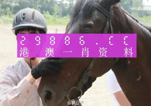 今天澳門一肖一碼,動(dòng)態(tài)詞語解釋落實(shí)_桌面版1.226