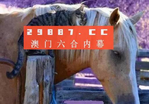 新奧門4949正版大全,國產(chǎn)化作答解釋落實_標(biāo)準(zhǔn)版90.65.32