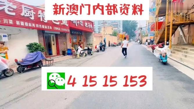 2024澳門天天開好彩大全,互動(dòng)性執(zhí)行策略評估_豪華版180.300