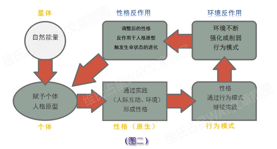 2024新奧今晚開什么,完善的執(zhí)行機制解析_工具版6.632