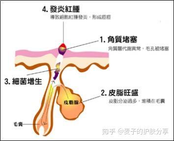 通草的功效與作用能通輸卵管堵塞,資源整合策略實施_娛樂版305.210