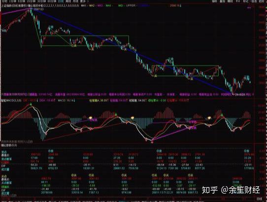 新澳門精準資料期期精準,準確資料解釋落實_粉絲版335.372