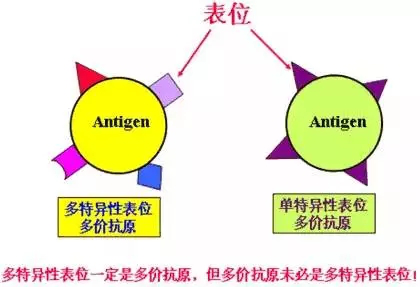 新澳正版資料與內(nèi)部資料,完善的執(zhí)行機制解析_潮流版3.739