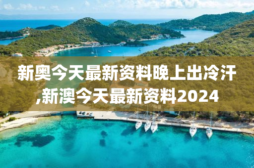 2024新奧正版資料免費,最新核心解答落實_標準版90.65.32