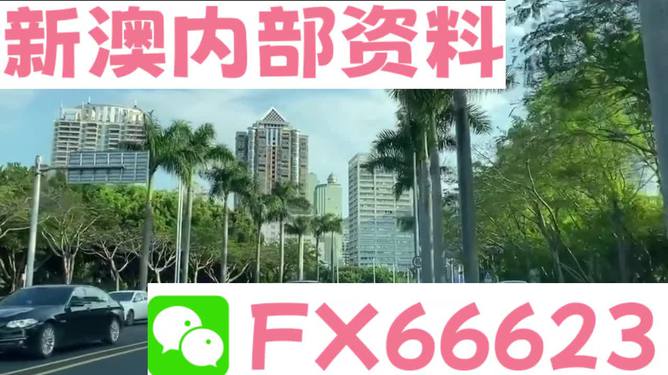 新澳精準(zhǔn)資料免費(fèi)提供網(wǎng)站,最新正品解答落實(shí)_紀(jì)念版3.866