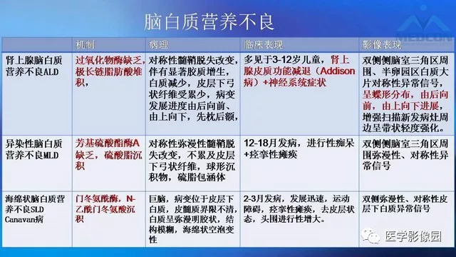 24免費(fèi)資料大全天下,功能性操作方案制定_影像版1.667