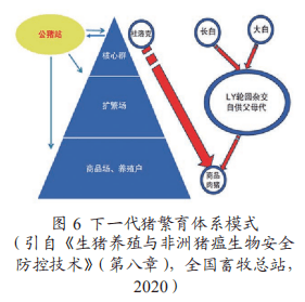 2024澳門特馬今晚開獎的背景故事,平衡性策略實施指導_標準版90.65.32