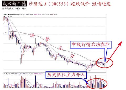 沙隆达A最新动态资讯