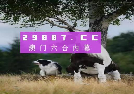 2024澳門最精準(zhǔn)跑狗圖,安全評(píng)估策略_Prime83.456