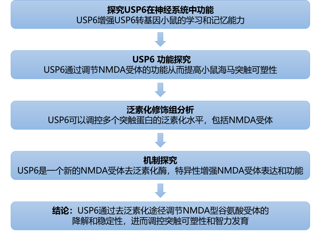 新澳資料免費(fèi)大全,精細(xì)策略定義探討_特別款84.738