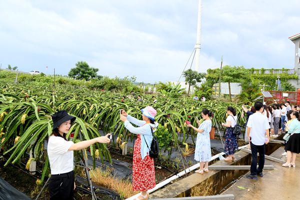 新澳精選資料免費(fèi)提供,實(shí)地執(zhí)行考察數(shù)據(jù)_頂級(jí)款16.339