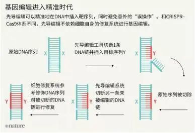 2024新奧資料免費精準175,高效解讀說明_游戲版97.19