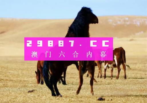 7777788888精準(zhǔn)跑狗,動(dòng)態(tài)詞語解釋落實(shí)_豪華版3.287