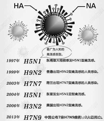 北京H7N9疫情最新動態(tài)，加強防控守護(hù)公眾健康