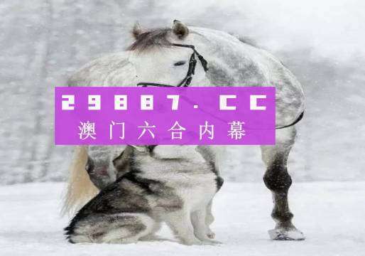 777778888精準(zhǔn)跑狗,準(zhǔn)確資料解釋落實(shí)_豪華版180.300