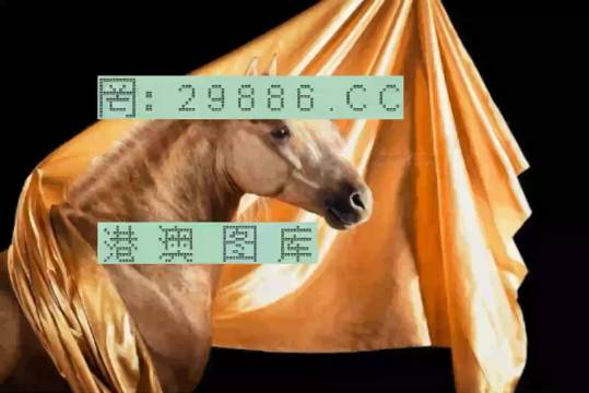 777778888精準(zhǔn)跑狗,準(zhǔn)確資料解釋落實(shí)_豪華版180.300