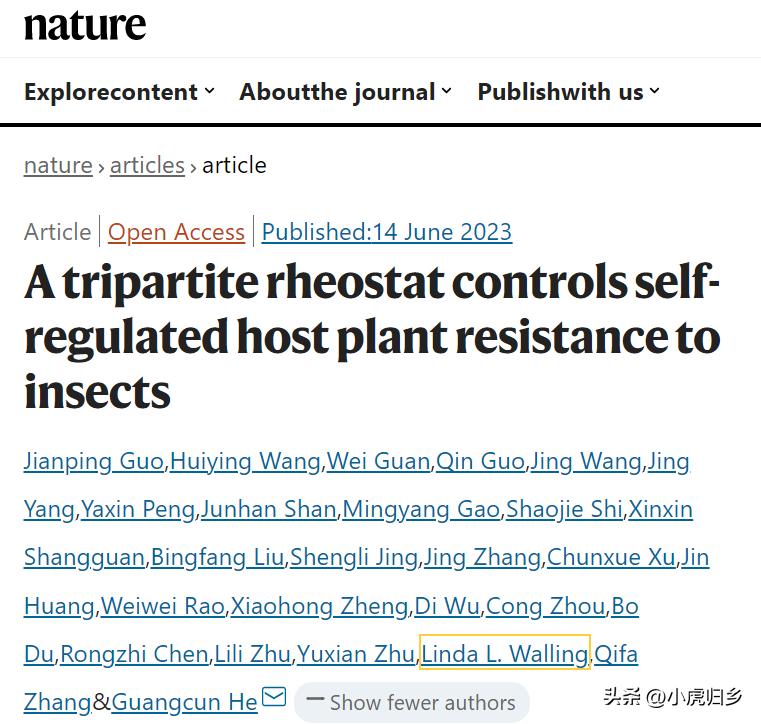 唾液最新研究，揭秘口腔健康的秘密武器