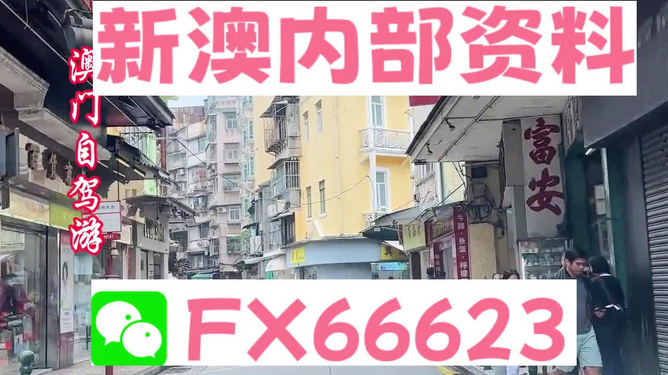 新澳精準(zhǔn)資料免費提供網(wǎng)站,時代資料解釋落實_黃金版97.208