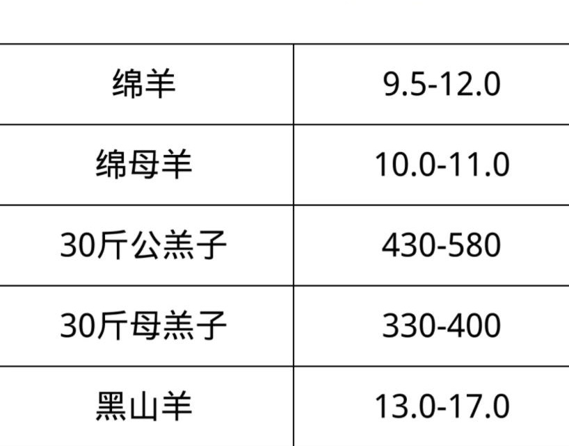 最新羔羊价格走势分析